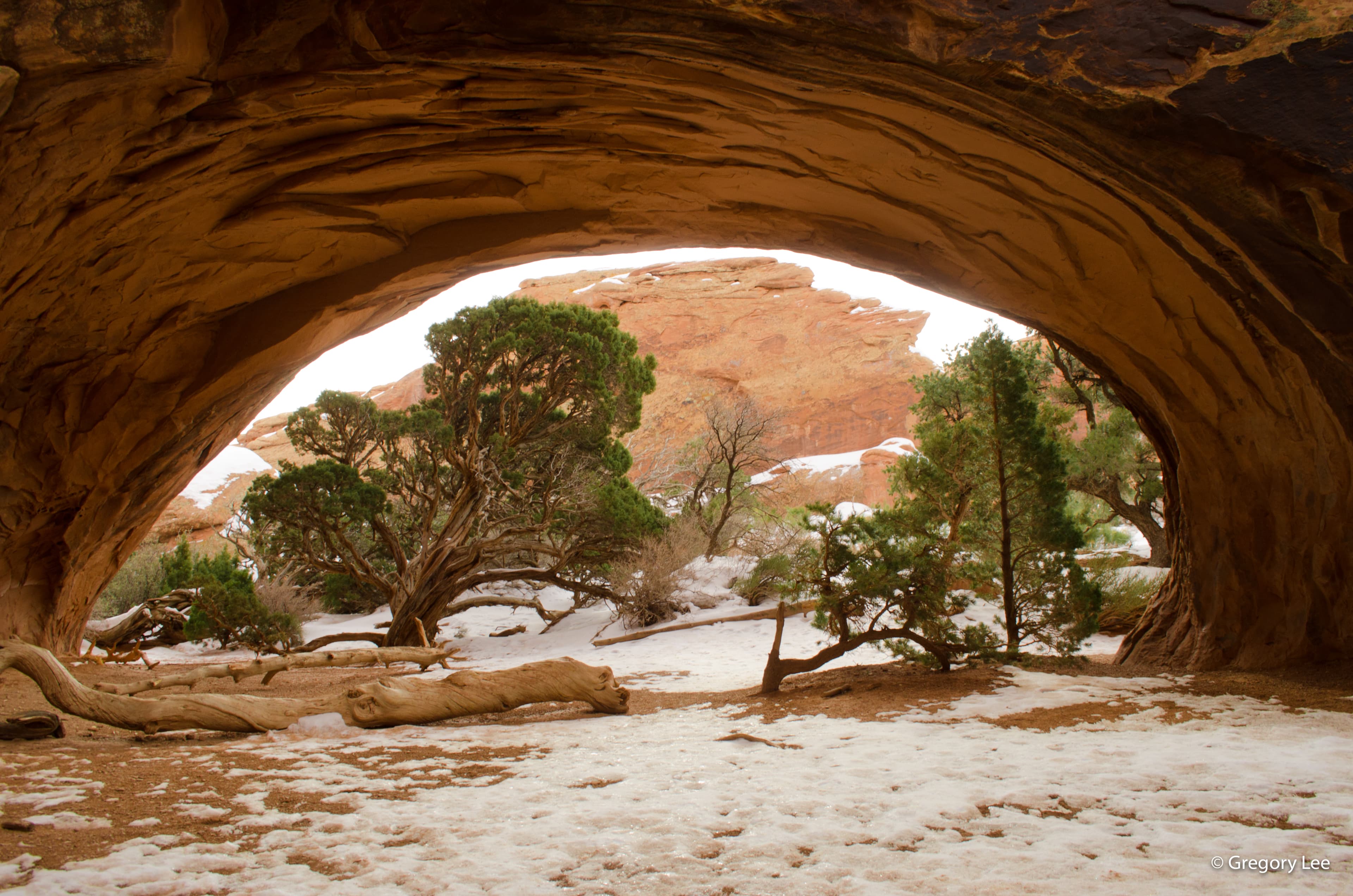 Framed Arch