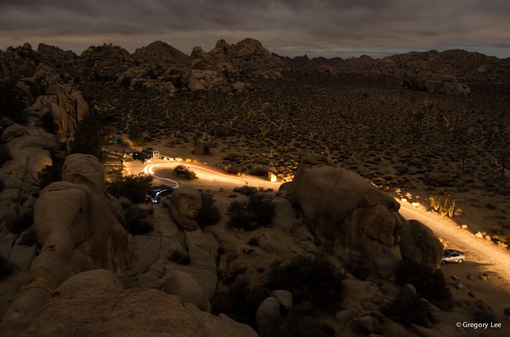 Joshua Tree